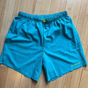Patagonia Teal Shorts